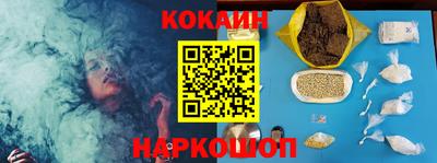 крисы Моздок