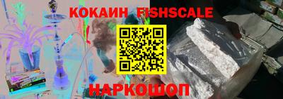 крисы Моздок