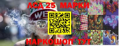 крисы Моздок
