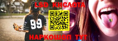 крисы Моздок