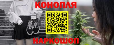 крисы Моздок