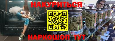 крисы Моздок